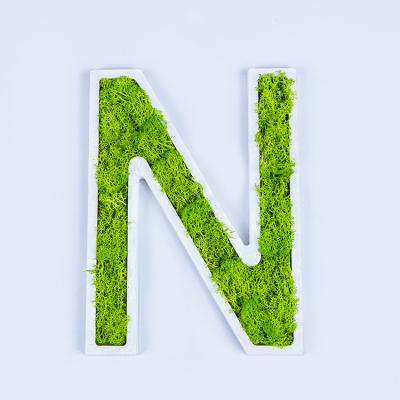 China Handmade Custom Indoor Letter Moss Frame Moss Grass Sign Wall Signage 3D for sale