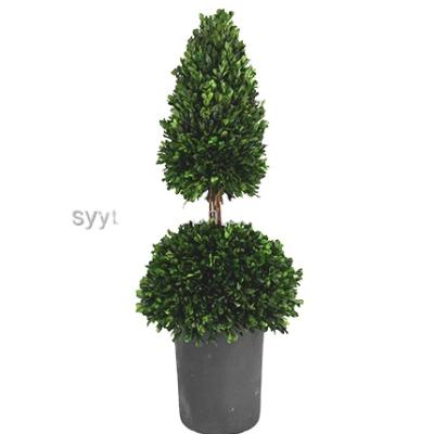 China Boxwood Christmas Tree Eco-friendly Preserved Christmas Product New Christmas Tree With Led Lights Included Tree for sale