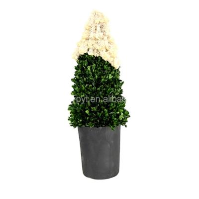 China New Eco-friendly Christmas Product Christmas Tree Included Preserved Boxwood Christmas Tree With Led Lights for sale