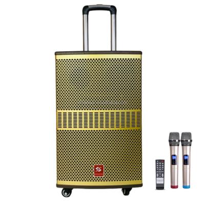 China No 12 Inch Trolley Loudspeaker Outdoor Wireless BT Speaker for sale