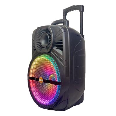 China No Chinese Suppliers Provide New Products 12 Inch Outdoor Portable Cart Speakers for sale