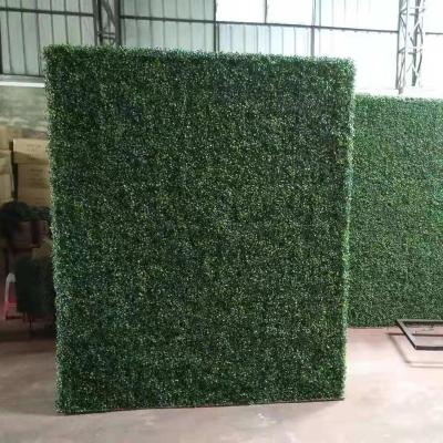 China Plastic Events Use Artificial Plants UV Resistance Outdoor Plastic Boxwood Hedge for sale