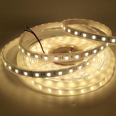 China Indoor Lighting Flexible Fita LED HOT WHITE 5050 RGB Light Strips Led Light for sale