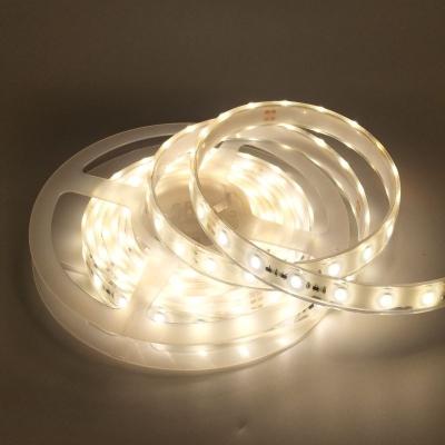 China Waterproof Flexible Garden SMD 5630 Strip Light Warm Cold White 300 LED 12V 5M/roll for sale