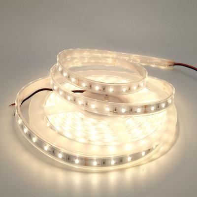 China Indoor lighting smd5050 led strip machine IP67 extruded LED strip for sale