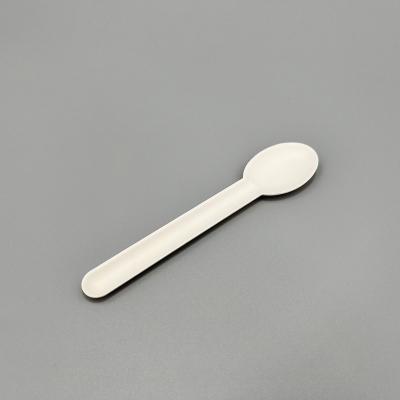 China Disposable Bagasse Teaspoon Dinner Spoon Set Ice Cream Parfait Tea Spoon Dessert Stirring Soup Spoon Scoop for sale