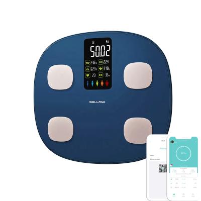 China Large Capacity Smart Household Connected Digital Weighing Electronic Scale With App for sale