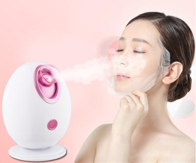 China Hot Mist DEEP CLEANING Sprayer Steaming Machine Beauty Facial Instrument Steamer Deep Cleansing Sprayer for sale