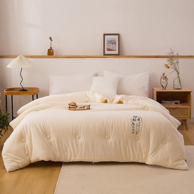 China New design Japanese winter warm quilt, soft texture, easy to fold, suitable for all ages for sale