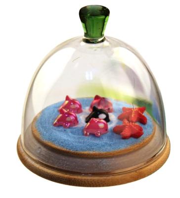 China China Display Clear Glass Dome Micro Landscape Flowers In Dome Glass Preserved Wooden Base for sale