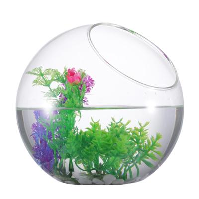 China Viable Eco-Friendly Glass Jar Ornamental Aquarium for sale