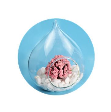 China China Drop Open Mini Globe Mini Greenhouse Air Plants Clear Glass Ball Ornament for sale