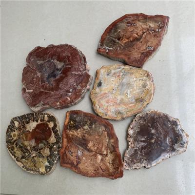 China Europe wholesale price different natural wood slice fossil reiki size coasters and healing stone place mats for home decoration for sale