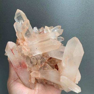 China Beautiful Large Size 100% Natural Pink Quartz Gemstone Crystal Therapy Rough Group From Europe For Home Decor for sale