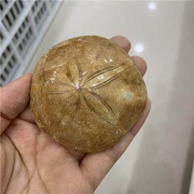 China Europe wholesale price natural starfish fossil mineral specimen as collection for home decoration for sale