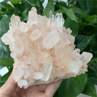 China Europe wholesale price natural clear quartz rare clusters gemstone reiki healing crystals rough flowers for home decoration for sale