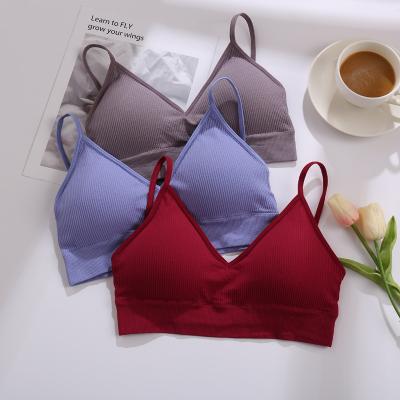 China Wholesale QUICK DRY Cotton Lady Vest Girl Chest Seamless Active Wire Wrap Wireless Lift Up Bras For Women for sale