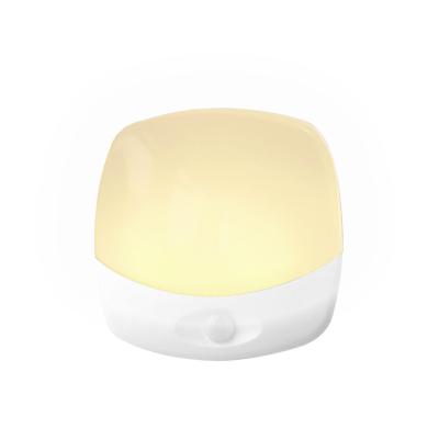 China Garden Battery Night Light With Built-in Motion Sensor Simple Japanese LED Night Light for sale