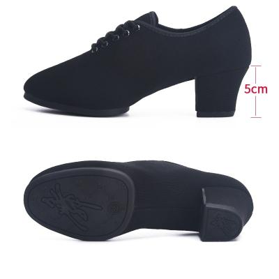 China Women's Comfortable Leather Bottom 204 Women's Dancing Dance Shoes Latin Professional Oxford Fabric Comfortable Cloth for sale