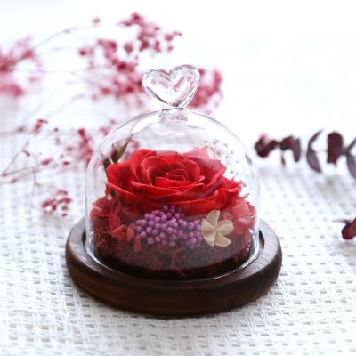 China Real Flower 2022 New Sale Preserved Rose Preserved Flowers Gift Box With Glass Cover Custom Western Wedding Flower Real for sale