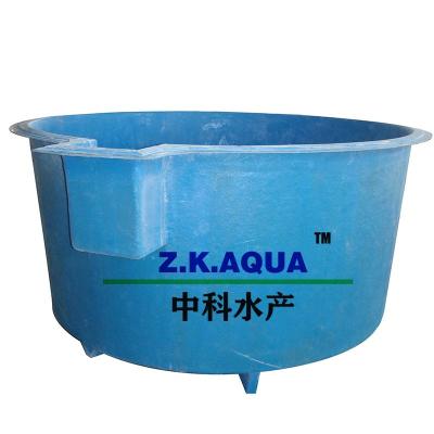 China Cultivating Fish Farming Tilapia Aquaculture Water Fish Farming Scale Small Fish Farm In Tanks for sale