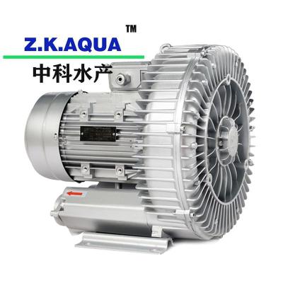 China Water Treatment Aquaculture Blower Compressor Oxygen Supply For Aquarium for sale