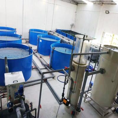 China Indoor Aquaculture Equipment Fish Farming System Ras Fish Farm Scale Mini Small Recycling Aquaculture System 8000*1500 for sale