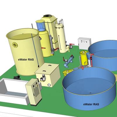 China PVC/PP/SS304 or SS316 equipment for seawater and freshwater aquaculture fish farm, RAS system for seabass aquafarm for sale