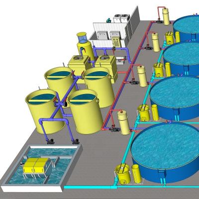 China High Density Indoor Recycling Equipment of RAS Fish Farming Aquaculture System Fish Farm for Grouper for sale
