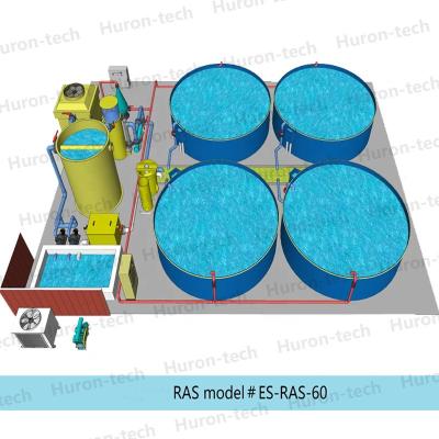 China PVC/PP/SS304 or SS316 Ras System Aquaculture Pond Ras Farming System, Aquaculture Shrimp Tilapia Fish Farming Equipment for sale