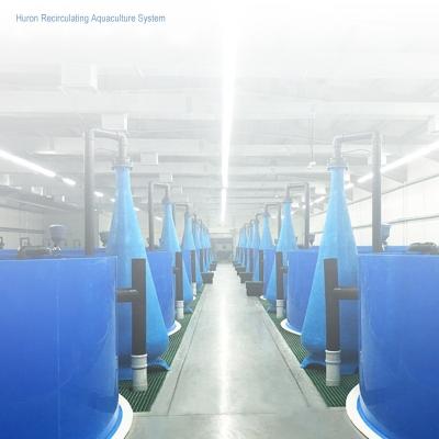 China Indoor Fish Farming Water Treatment System Aquaculture Equipment RAS For Indoor Tilapia Fish Farming for sale