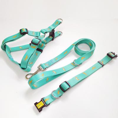 China Custom Strong Personalized Sublimation Printing Design Dog Collar and Leash DETACHED for sale