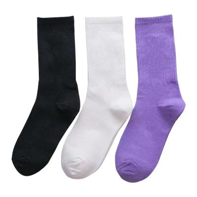 China Custom Made QUICK DRY embroidered bangs high quality no minimum unisex crew plain knit embroidery Logo Sox Custom Embroidered Socks for sale