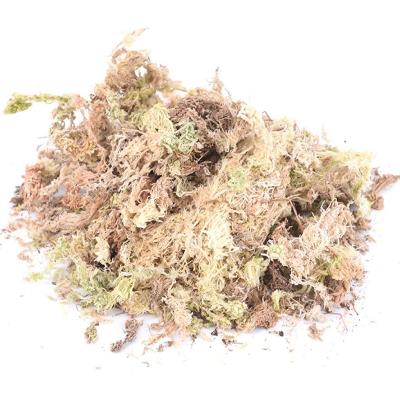 China Potted Flowers Natural Organic Sphagnum Sphagnum Sphagnum Moss Fertilizer Moss Dried Moisturizing Nutrition Organic Succulent Cultivation Sphagnum for sale