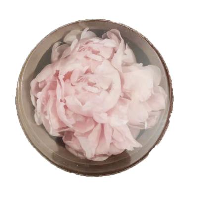 China High Quality Natural Preserved Gift 7-8cm Real Peony Flower DIY Colorful 9-10cm Decoration for sale