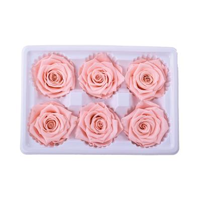 China 5-6cm celebration grade real immoral preserved rose flower for for valentine's day for sale