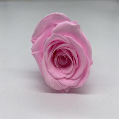 China Natural Fresh Rose 2021 Most Popular High Quality Flower Preserved Roses In Round Gift Box for sale