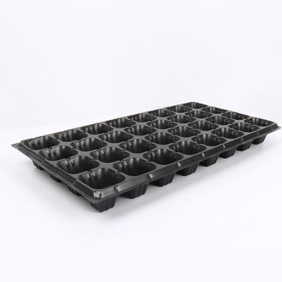 China 32 Cell 4*8 Planting Seed Seedling Plastic Seedling Tray Reusable Reusable Eco-Friendly Seed Eco-Friendly Planting Seedling Tray for sale