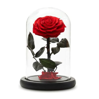 China Real rose perfectly customized preserved roses flowers in glass dome for valentine's day for sale