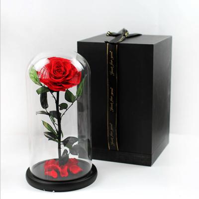 China Real lasting rose valentines day A grade rose forever light rose in glass with gift box for sale