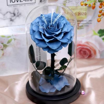 China Real Plant Direct Delicate Appearance Rose Long Stem Everlasting Natural Rose Flower In Glass Dome for sale