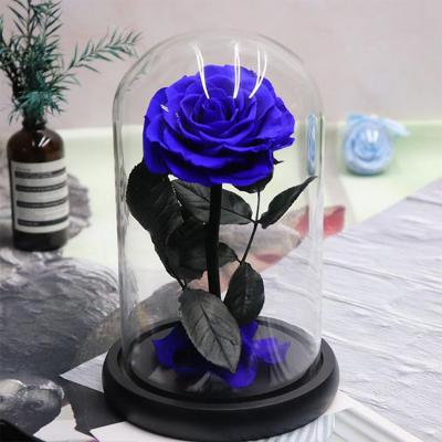 China Real Pink Eternal Rose Preserved Flower in Glass Dome for Birthday Wedding Mother for sale