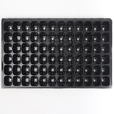 China Eco-friendly Seed Planting Plastic Seedling Tray Nursery Seedling Tray 72 Holes Plant Breeding Seed Nursery Seed Tray 6*12 Cell Seedlings for sale