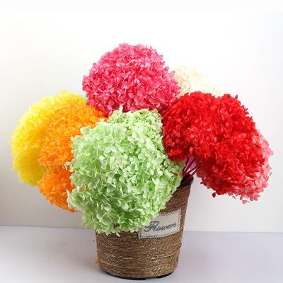 China Nature Natural Orange Preserved Flowers Anna Hydrangea Real Plant For Floral DIY for sale