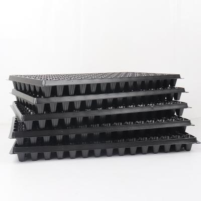 China Durable 105 Cell Holes Cell Eco-Friendly Supplier Planting Seed Drain Polystyrene Seedling Square Trays For Trees for sale