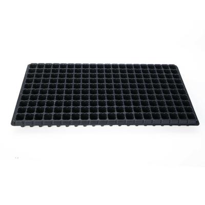 China Eco-friendly Seed Planting Plastic PS Insert 200 Holes Seeds Nursery Tray Price for sale