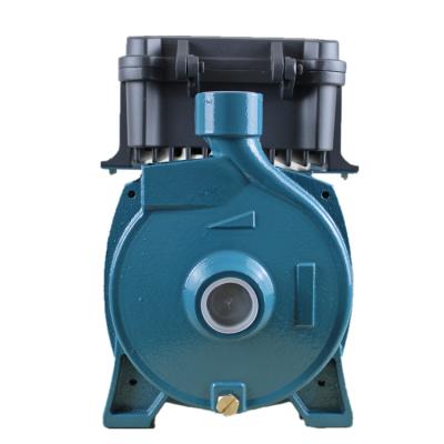 China Energy Saving 750w Self Priming DC Surface Water Pump Centrifugal High Pressure Surface Water Pumps For Irrigation for sale