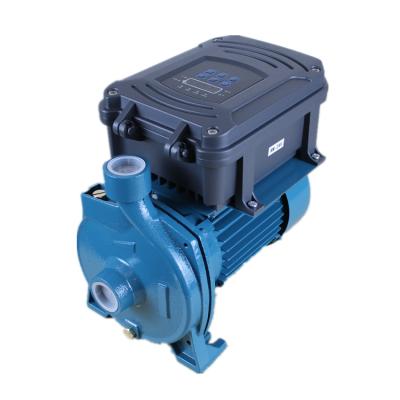 China DC 12V / 24V Energy Saving Aquariums Accessories Centrifugal Water Pumps Submersible Pump for sale