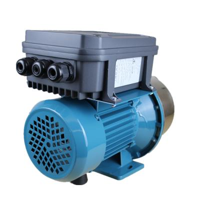 China 750w 1hp Jet Pump High Pressure Standard Energy Saving Peripheral Electric Sewage Water Pump Single Stage Pump for sale