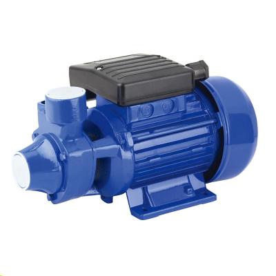 China Developing World Outdoor Peripheral Water Solutions 0.5Hp Electric Water Pump for sale